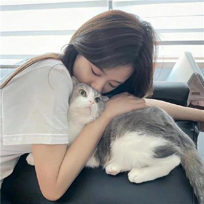 断·桥